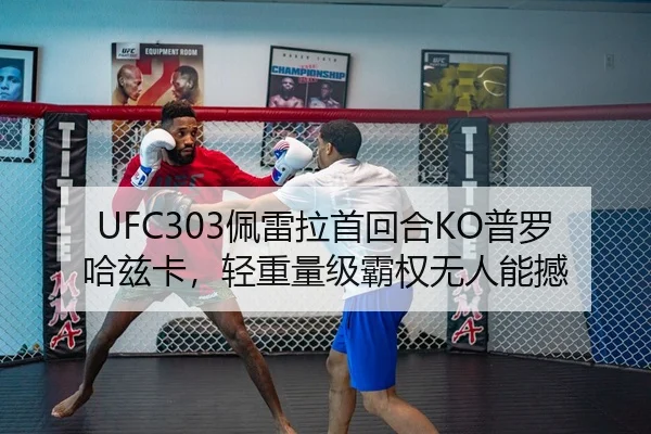 UFC303佩雷拉首回合KO普罗哈兹卡，轻重量级霸权无人能撼